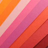 Fiches Iris Oranje - thumbnail