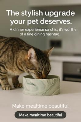 Hondenvoerbak Baron, grijs, Maat: 2 Hondenvoerbak Baron, grijs, Maat: 2