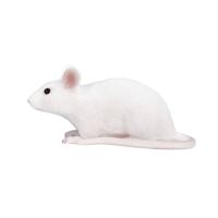 Mojo farmland muis 387235 - thumbnail