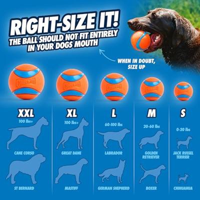 CHUCKIT ULTRA BAL MEDIUM 6X6X6 CM 2 ST CHUCKIT ULTRA BAL MEDIUM 6X6X6 CM 2 ST