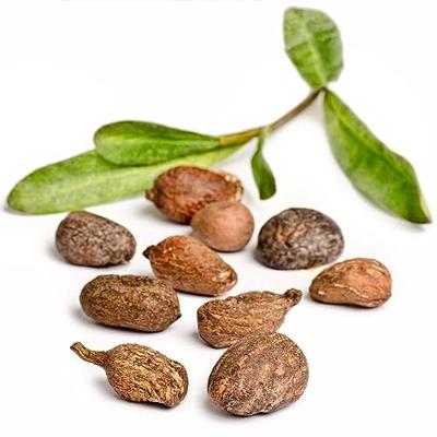 Primavera Shea butter raw bio 45 Milliliter