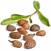 Primavera Shea butter raw bio 45 Milliliter - thumbnail