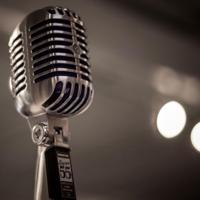 Shure SUPER 55 microfoon Chroom Microfoon voor studio's - thumbnail