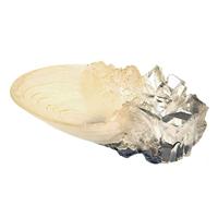 Noble Collection Harry Potter: The Crystal Goblet decoratie - thumbnail