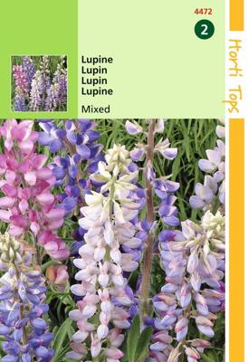 Zaden Lupine Lupine gemengd Hortitops - Hortitops