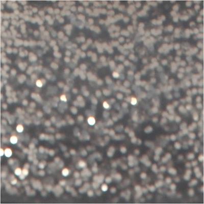 Creativ Company Glitterlijm, zilver, 25 ml/ 1 fles