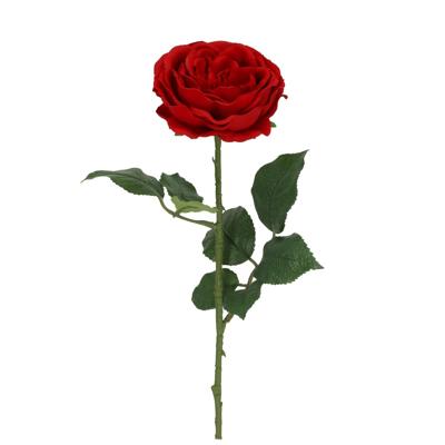Engelse Tuinroos Kunsttak 56cm Rood
