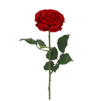 Engelse Tuinroos Kunsttak 56cm Rood - thumbnail