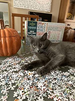 UPG-puzzel - Geweldige Eerste Regels van Literatuur