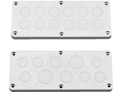 Rittal KL invoerplaat sparing kast/lessenaar, kunststof, (bxhxd) 221x90x15mm Rittal KL invoerplaat sparing kast/lessenaar, kunststof, (bxhxd) 221x90x15mm