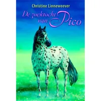 De zoektocht van Pico Nederlands boek maat:-leeg- - thumbnail