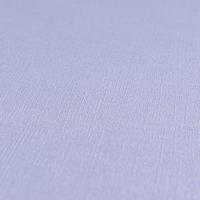 Livingwalls House of Turnowsky - Blauw - Uni - 389035 - thumbnail