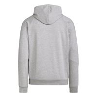 adidas Tiro 24 Sweat Hoodie Lichtgrijs Wit - thumbnail