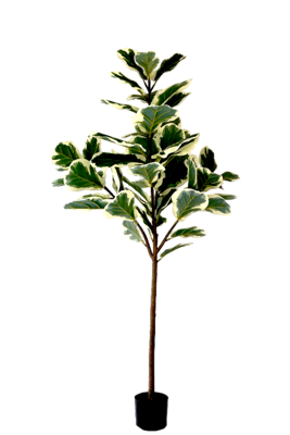 Kunstplant Ficus Lyrata Deluxe 160cm