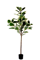 Kunstplant Ficus Lyrata Deluxe 160cm - thumbnail