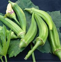Okra zaden Clemson Spineless - thumbnail