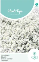 Zaden Cerastium Hoornbloem wit Hortitops - Hortitops - thumbnail