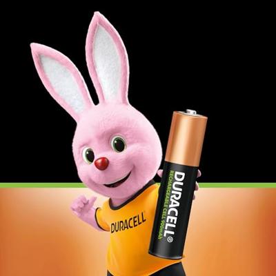 Duracell PreCharged Oplaadbare AAA batterij (potlood) NiMH 1.2 V 2 stuk(s)