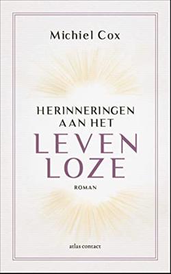 Herinneringen aan het levenloze - Michiel Cox - ebook