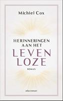 Herinneringen aan het levenloze - Michiel Cox - ebook - thumbnail