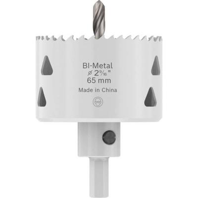 Bosch Accessories 2608594523 2608594523 Gatenzaag 65 mm 1 stuk(s)