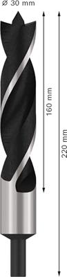 Bosch Accessoires Houtspiraalboren Standard 30 x 145 x 220 mm, d 13 mm 1st - 2608597208