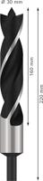 Bosch Accessoires Houtspiraalboren Standard 30 x 145 x 220 mm, d 13 mm 1st - 2608597208 - thumbnail