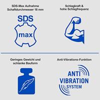 Scheppach DH1600MAX Boorhamer - 5907903901 - thumbnail