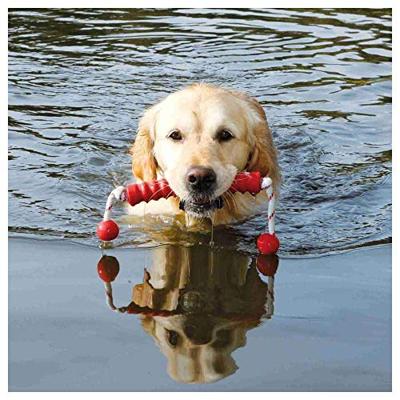TRIXIE AQUA TOY MOT-LONG DRIJVEND NATUURRUBBER ASSORTI 42 CM 3 ST TRIXIE AQUA TOY MOT-LONG DRIJVEND NATUURRUBBER ASSORTI 42 CM 3 ST