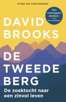 David  Brooks De tweede berg - thumbnail