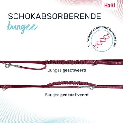 HALTI Anatomy multifunctionele hondenlijn - Reflecterende Lijn met schokabsorberend tussenstuk en twee clips, ideaal om honden te trainen en uit te laten. Geschikt voor puppy's (Maat L, Magenta)