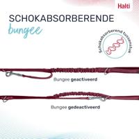 Hondenriem Company of Animals Bordeaux L - thumbnail