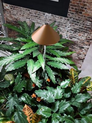 iSun paraplu kweeklamp 10w koper BTT & Parus - Btt