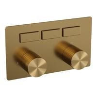 Brauer Stripe 3-weg inbouwthermostaat met drukknoppen met in- en afbouwdelen goud geborsteld PVD - thumbnail