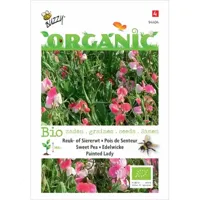 Biologische Lathyrus, Reuk- of siererwt Painted Lady - thumbnail