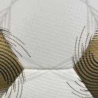 Derbystar Voetbal Brillant APS Wit goud zilver V25 1002 - thumbnail