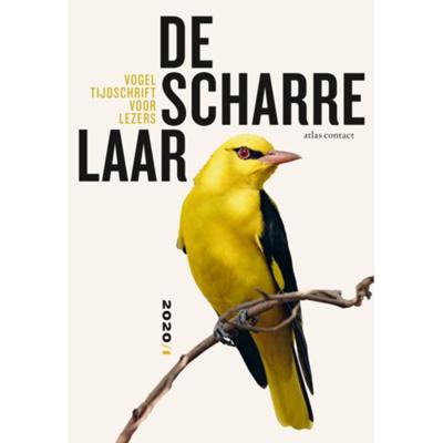 De scharrelaar (Paperback)