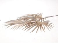 HBX Natural Living Kunsttak areca carpus h72cm champagne - thumbnail