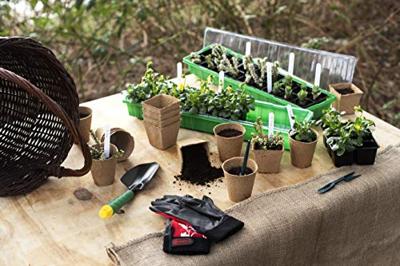 Connex Set Om Jonge Planten Te Verplaatsen - FLOR78850