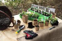 Connex Set Om Jonge Planten Te Verplaatsen - FLOR78850 - thumbnail