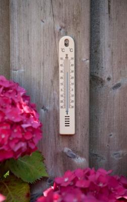 Nature thermometer plastic bruin