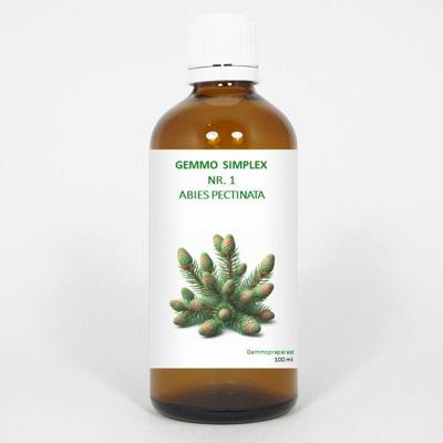 Balancepharma Gemmo simplex 1 abies pectinata 100 Milliliter Balancepharma Gemmo simplex 1 abies pectinata 100 Milliliter