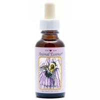 Animal Essences Bumblebee (hommel) 30 Milliliter - thumbnail