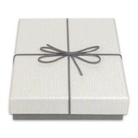 Zep Opbergdoos BX3514B Box Piacenza B 15,3x21,4x4 - thumbnail