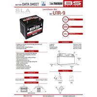 BS-BATTERY Batterij "u1-9r battery u1r-9 bs sla garden - thumbnail