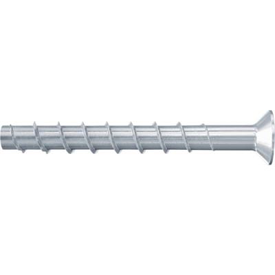 Fischer 558233 FBS II 8x160 110/95 SK Betonschroef 8 mm 160 mm TX 50 stuk(s) Fischer 558233 FBS II 8x160 110/95 SK Betonschroef 8 mm 160 mm TX 50 stuk(s)