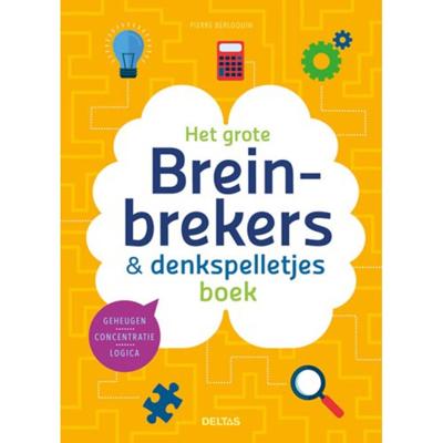 Het grote breinbrekers & denkspelletjes boek - Pierre Berloquin - Hardcover (9789044754810)