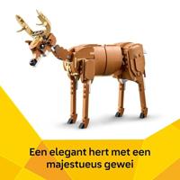 LEGO Creator 3-in-1 31166 Het prachtige paard - Bouwset voor 9-jarigen - thumbnail