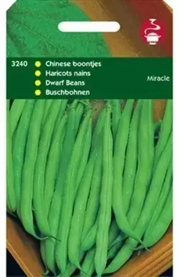 Zaden Stamslabonen chinees boontje Miracle 100g Tuinplus - Tuinplus