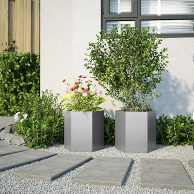 VidaXL Plantenbakken 2 st zeshoek 46x40x45 cm gegalvaniseerd staal VidaXL Plantenbakken 2 st zeshoek 46x40x45 cm gegalvaniseerd staal